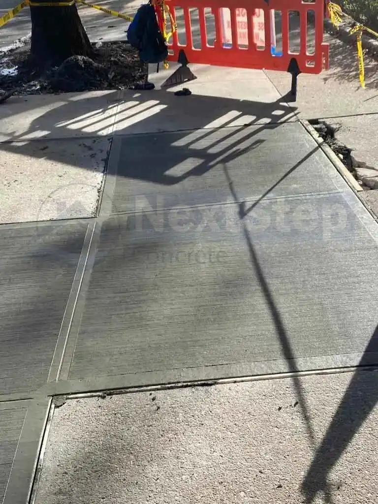 Sidewalk Violations Image